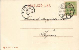 1904 Kolozsvár, Cluj; Erzsébet híd a fellegvárral. D.T.C., L. 21882. / bridge, castle (EK)