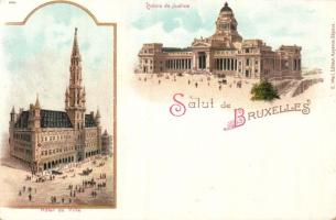 Brussels with Town hall and Palace of Justice litho