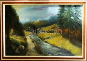 Palotás Mária (-): Vízparti táj. Olaj, vászon. Jelezve jobbra lent. Fakeretben. 80x120 cm. KIZÁRÓLAG SZEMÉLYES ÁTVÉTEL, NEM POSTÁZZUK! / ONLY PERSONAL COLLECTION AT OUR OFFICE!