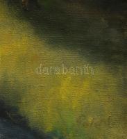 Palotás Mária (-): Vízparti táj. Olaj, vászon. Jelezve jobbra lent. Fakeretben. 80x120 cm. KIZÁRÓLAG...