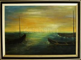 Palotás Mária (-): Balaton. Olaj, farost. Jelezve balra lent. Fakeretben. 68x104 cm. KIZÁRÓLAG SZEMÉLYES ÁTVÉTEL, NEM POSTÁZZUK! / ONLY PERSONAL COLLECTION AT OUR OFFICE!