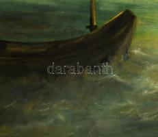 Palotás Mária (-): Balaton. Olaj, farost. Jelezve balra lent. Fakeretben. 68x104 cm. KIZÁRÓLAG SZEMÉ...