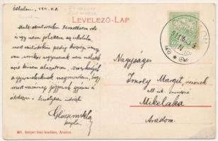 1911 Glogovác, Öthalom, Glogowatz, Glogovati, Vladimirescu; Községháza. Kerpel Izsó kiadása / Gemein...