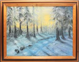 Jelzés nélkül (Palotás Mária?): Téli erdő. Olaj, vászon. Fakeretben. 60x80 cm.