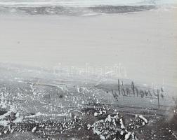 Wárkonyi Gyula (1947-): Tanya. Olaj, farost, jelzett, fakeretben, 40x70 cm