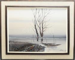 Wárkonyi Gyula (1947-): Árad a Tisza. Olaj, farost, jelzett, fakeretben, 38x50 cm