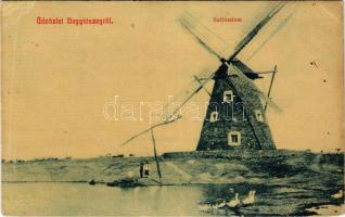 Torontáltószeg, Nagytószeg, Novi Kozarci; szélmalom. W.L. 1383. / windmill (kis szakadás / small tear)