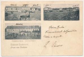 1906 Csák, Csákova, Ciacova; Földműves iskola. Mesterovits &amp; Jovanovitz kiadása / Ackerbau-Schule / agricultural school (apró szakadás / tiny tear)