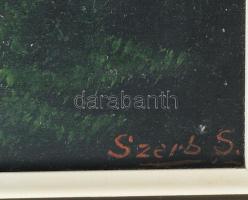 Szerb S jelzéssel: Vízimalom. Olaj, vászon, faroston. Fakeretben. 48,5x69 cm