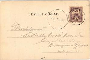 1901 Szántó, Santovka; Szántói savanyúvíz forrás, templom a parkban. Divald Károly kiadása / mineral...