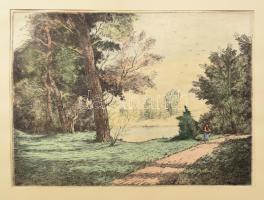 Marosán Gyula (1915-2003): Ősz. Színezett rézkarc, papír, jelzett, 29×39 cm