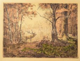Csergezán Pál (1924-1996): Szarvasbőgés, 1954. Színezett rézkarc, papír, jelzett, kartonra kasírozva, 27×37,5 cm