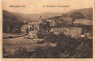 Sokolowsko, Görbersdorf; Dr. Brehmer's Heilanstalten / spa sanatorium (EK)