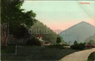 1910 Fenyőháza, Lubochna; út, villa. Holczmann Izidor kiadása / road, villa
