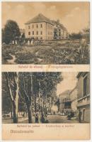 Dicsőszentmárton, Tarnaveni, Diciosanmartin; Elmegyógyintézet, tébolyda, közkórház és kert / asylum, hospital garden (fl)