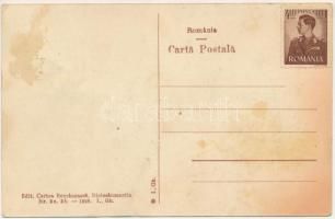 Dicsőszentmárton, Tarnaveni, Diciosanmartin; Elmegyógyintézet, tébolyda, közkórház és kert / asylum,...