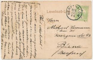 1914 Nagykapus, Gross-Kopisch, Copsa Mare; Strassenansicht. Joseph Briegel Fotograf / utcakép / stre...