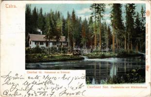 1903 Tátra, Magas-Tátra, Vysoké Tatry; Csorba-tó, halastavak az őrházzal. Feitzinger Ede 11bt. Auto-Chrom / Strbské pleso / lake with fishponds and guardhouse (Rb)