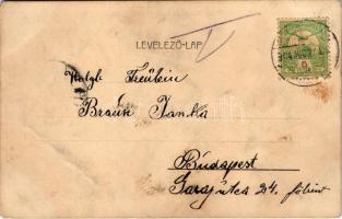 1904 Nagytapolcsány, Topolcany; Rákóczi utca / street view. Floral (fl)