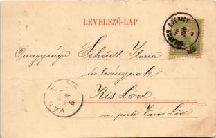 Tapolca, Vincellér iskola. Art Nouveau, floral (szakadás / tear)