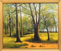 Hailinger Sándor (1921-1988): Erdő. Olaj, vászon. Jelzett. Dekoratív fakeretben. 46x56 cm