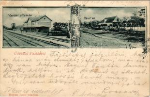 1901 Pásztó, vasútállomás, Tavi út. Holczer József kiadása, Art Nouveau, floral (EK)