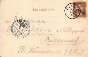 1901 Pásztó, vasútállomás, Tavi út. Holczer József kiadása, Art Nouveau, floral (EK)