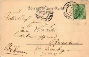 1903 Herzegovinische Volkstypen. Strassenleben / Bosnian folklore, pack donkey. Weiss &amp; Drey...