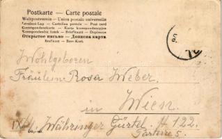 Raibl (Tarvisio, Südtirol); Blick vom Katnik Höhe / general view, mountain (fl)