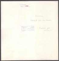 cca 1980 Szentendre városát ábrázoló légi felvétel, a hátoldalon feliratozott fotó, áthúzott "T...