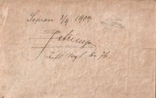 [Térkép] Oedenburg (Sopron) és tágabb környéke, Sopron, Vas és Moson vármegyék területével. Magyar-n...