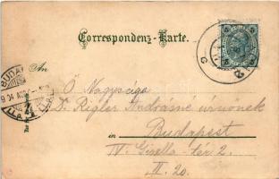 1904 Carbonin, Schluderbach (Toblach, Südtirol); Croda Rossa. L. Fränzl, Loius Glaser / hotel (EB)