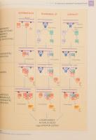 Fonyó Attila - Ligeti Erzsébet: Az orvosi élettan tankönyve. Bp., 2011, Medicina. Kartonált papírköt...