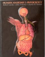 Robert Carola - John P. Harley - Charles R. Noback: Human Anatomy and Physiology London, 1990. Mr. Graw-Hill Kartonált papírkötésben. 925 + 30 + 38 p. .