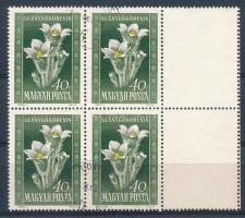 1950 Virág (I.) 40f 4-es tömb jobb oldalon két üres mezővel