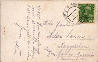 1915 Ceská Trebová, Böhmisch Trübau; Restaurace v mestskych sadech Javorce / restaurant in the city ...