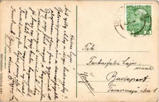 I. Oberbayerisches reitendes Garde-Gebirgs-Marine-Luft-Infanterie-Regiment. Ottmar Zieher / WWI Aust...