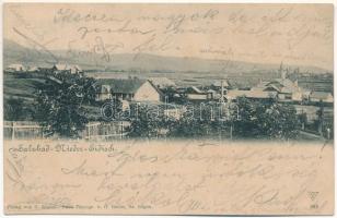 1903 Alsóidecs, Alsó-Idecs, Idecs, Eidisch, Ideciu de Jos; Salzbad-Nieder-Eidisch. Verlag G. Rösler. Nach Photogr. v. G. Heiter / general view (EB)