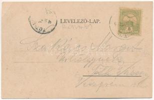 1903 Alsóidecs, Alsó-Idecs, Idecs, Eidisch, Ideciu de Jos; Salzbad-Nieder-Eidisch. Verlag G. Rösler....