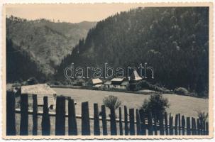 1940 Palotailva, Palota-Ilva, Lunca Bradului; látkép / general view. photo