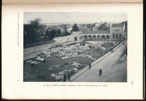 Dercsényi Dezső: A székesfehérvári királyi bazilika. Gerevich Tibor előszavával. Magyarország Művész...