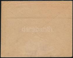 Kelet Szilézia 1920 Levél vágott bélyeggel / Cover with imperforate stamp