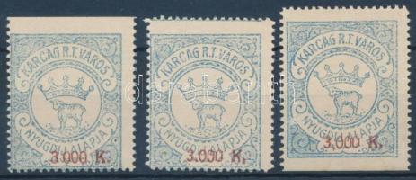 1925 Karcag városi okirat illeték 3.000K 3 db bélyeg látványos elfogazásokkal
