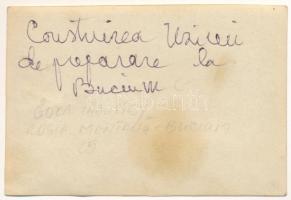 Verespatak, Rosia Montana; Bucium Montana / aranybánya, teherautó / gold mine, truck. photo (non PC)...