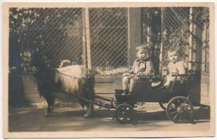 Szászsebes, Mühlbach, Sebesul Sasesc, Sebes; gyerekek kecskefogaton / children on goat carriage. Viktor Cloos photo (vágott / cut)