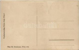 Das Kaiserpaar mit dem Kronprinzen. Erzherzogin Adelheid ind Erzherzog Robert auf dem Asperner Flugf...