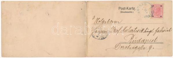 1904 Brezová nad Svitavou, Brüsau; 2-tiled folding panoramacard. Verlag von Joh. Heller (fl)