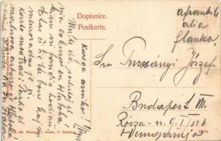 1912 Hluboká nad Vltavou, Frauenberg; Partie ze staré obory / Partie aus Alt-Tiergarten / old zoo wi...