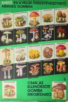 1970 Ehető és a velük összetéveszthető mérges gombák. Kiadja az Egészségügyi Minisztérium, lapszéli gyűrődéssel, szakadással, 69x48 cm