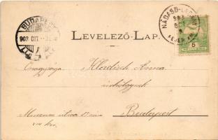 1903 Kassa, Kosice; A Rákóczi-ereklyekiállítás fegyverterme, belső. Nyulászi Béla kiadása / weapons ...